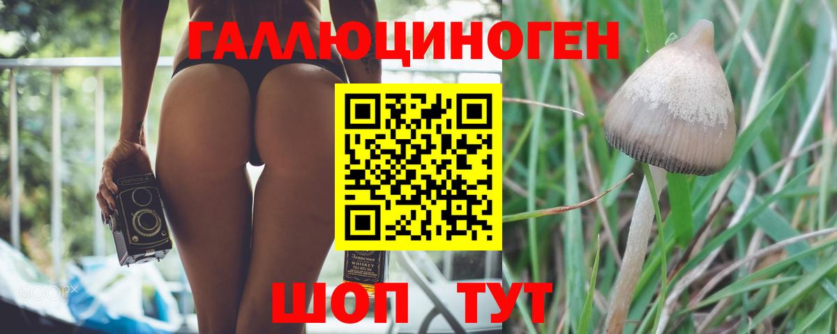 Новоуральск  Галлюциногенные грибы ЛСД  Псилоцибиновые грибы мухоморы  Вход с VPN 